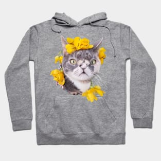 Willow The Beautiful Cat face Hoodie